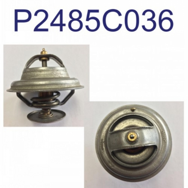 Picture of Thermostat, 180 Degree