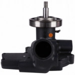 Picture of Water Pump w/ Pulley - Reman