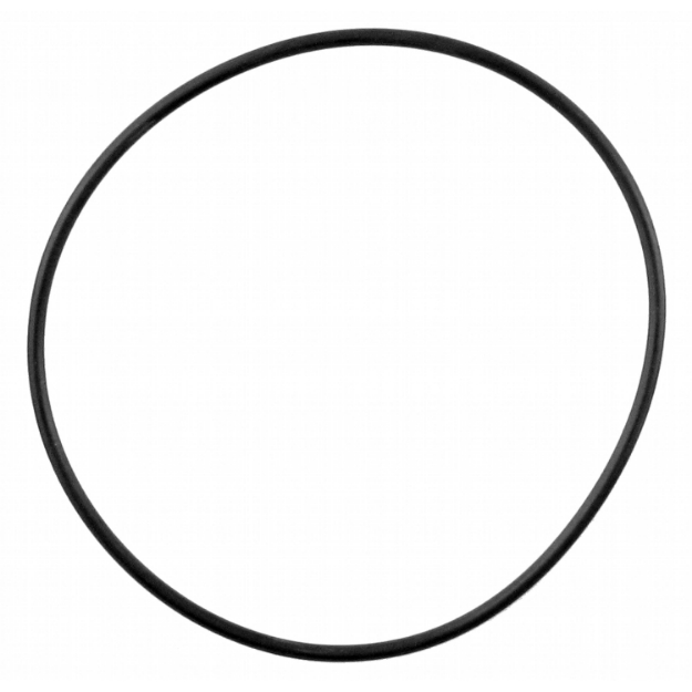 Picture of IPTO Bearing Cage O-Ring