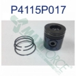 Picture of Piston & Ring Kit