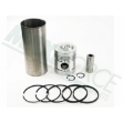 Picture of Cylinder Kit, w/ Combustion Bowl Type Piston