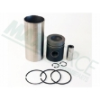 Picture of Piston Liner Kit