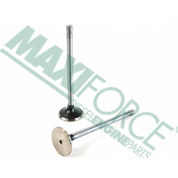 Picture of Exhaust Valve