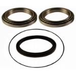 Picture of Dana/Spicer Planetary Wheel Hub Bearing & Seal Kit, MFD