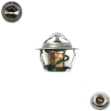 Picture of Thermostat - 160 Degree