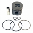 Picture of Piston & Ring Kit, Std.