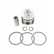 Picture of Piston & Ring Kit, Std.