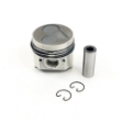 Picture of Piston & Ring Kit, Std.