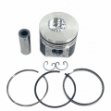 Picture of Piston & Ring Kit, Std.