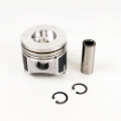 Picture of Piston, Std.