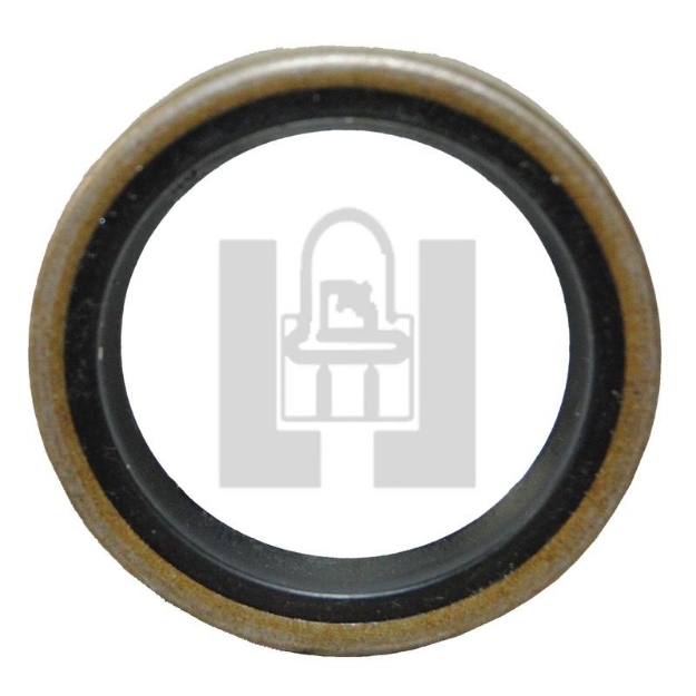 Picture of Hood Gas Strut, 31.00"