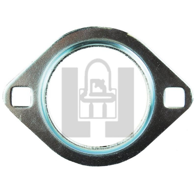Picture of 52 M Flange with 2 Mtg Holes